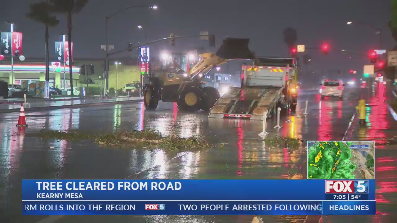 Eucalyptus tree falls down on roadway in Kearny Mesa – FOX 5 San Diego ...