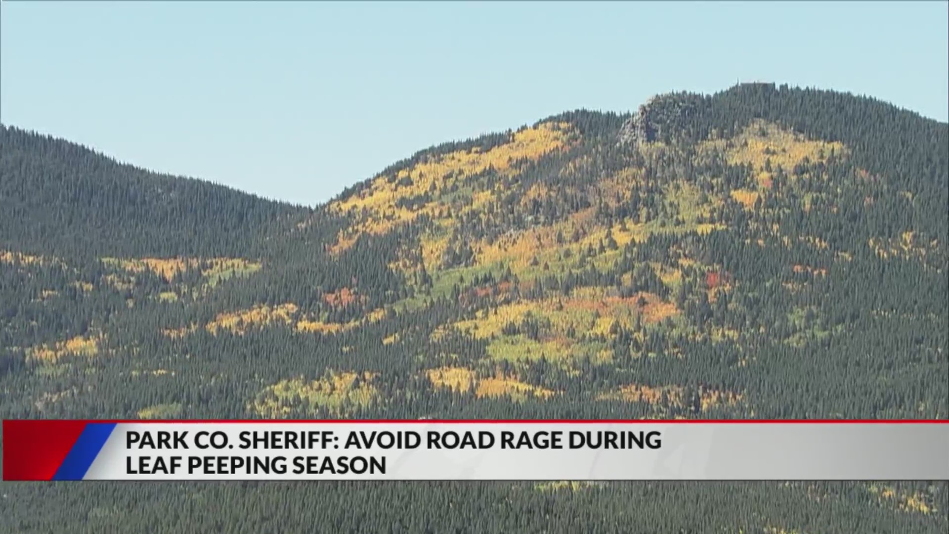 Fall leaf traffic leads to increased road rage FOX31 Denver