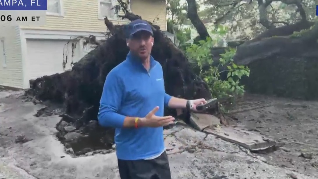 Massive tree uprooted through concrete by Hurricane Helene Morning in