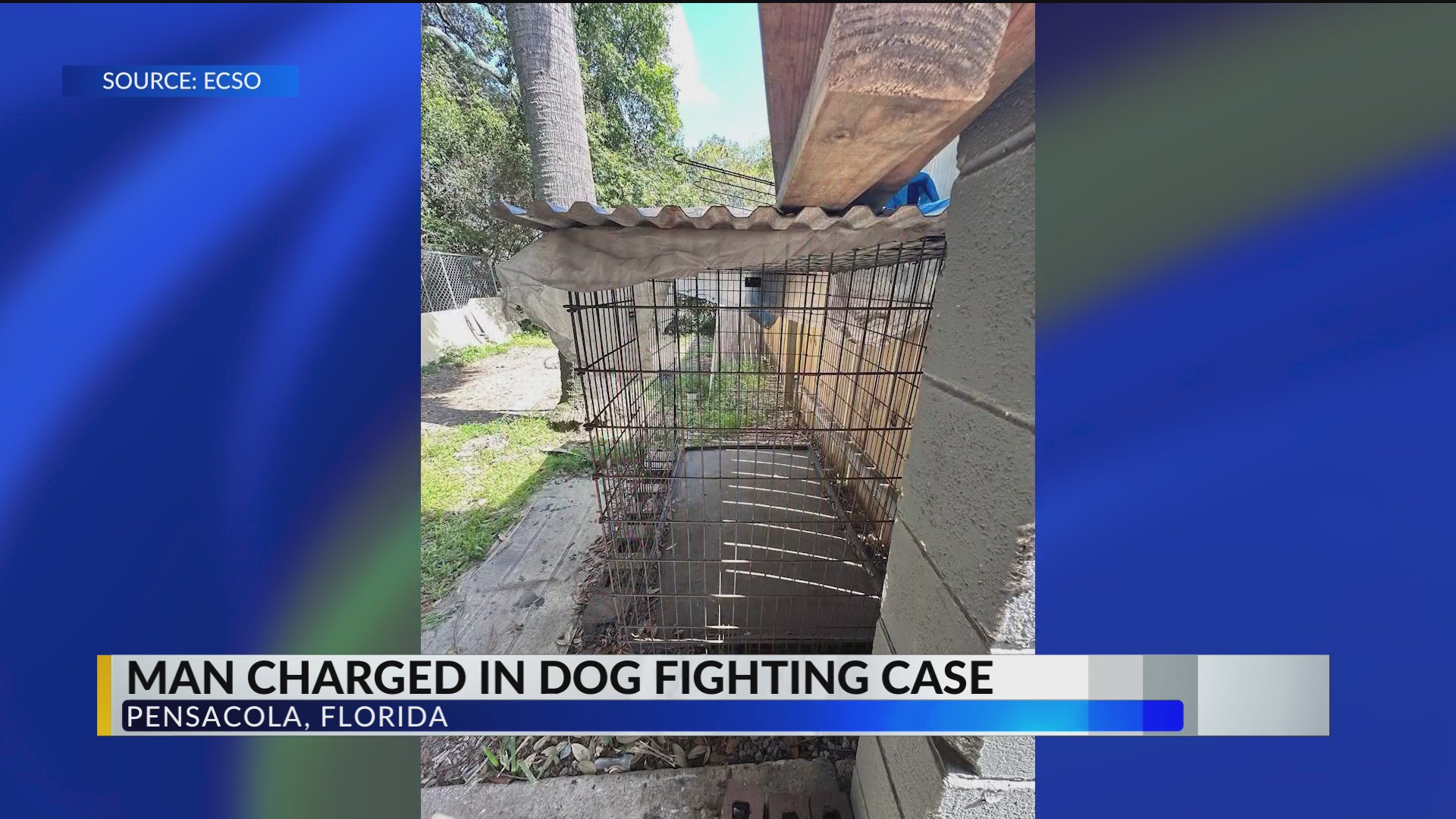 Pensacola man charged in dog fighting case – WKRG News 5