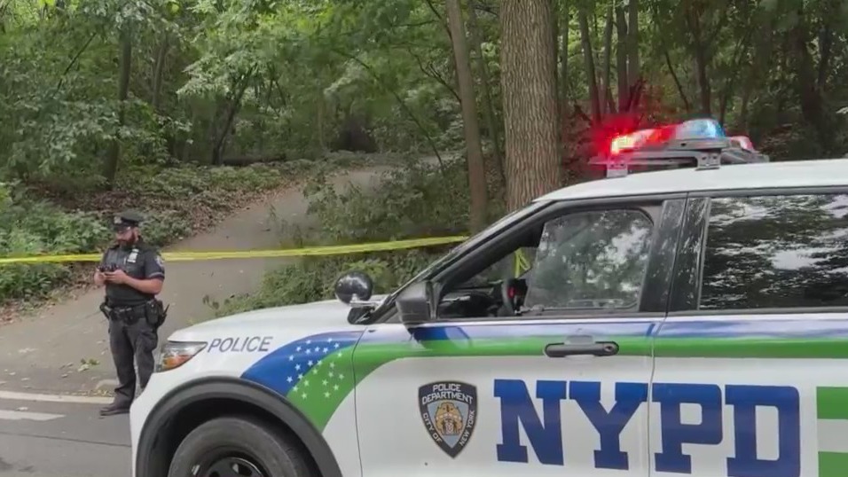 Person of interest in custody in Central Park attempted sex assault ...
