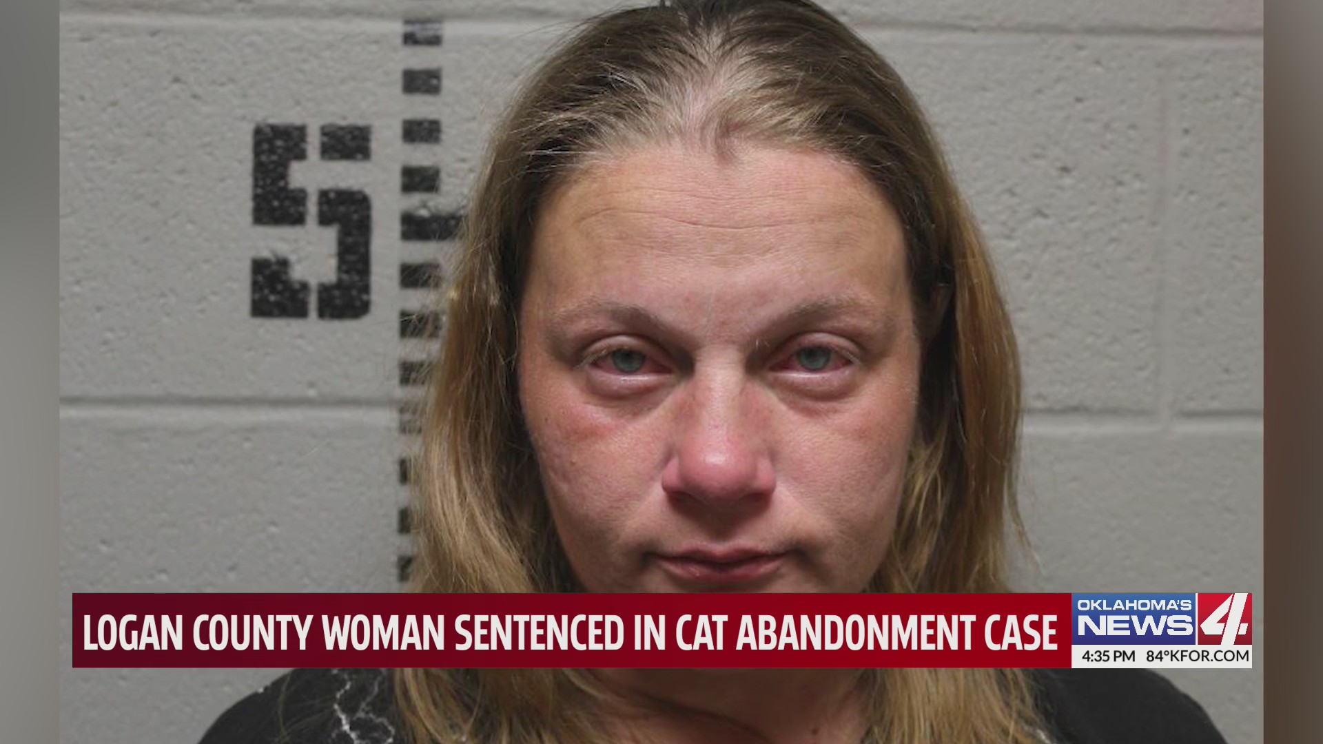 Logan County woman sentenced after 30 cats abandoned in May – KFOR.com ...