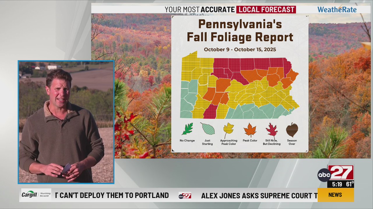 Fall Foliage Outlook: Quick to peak, quick to drop – ABC27