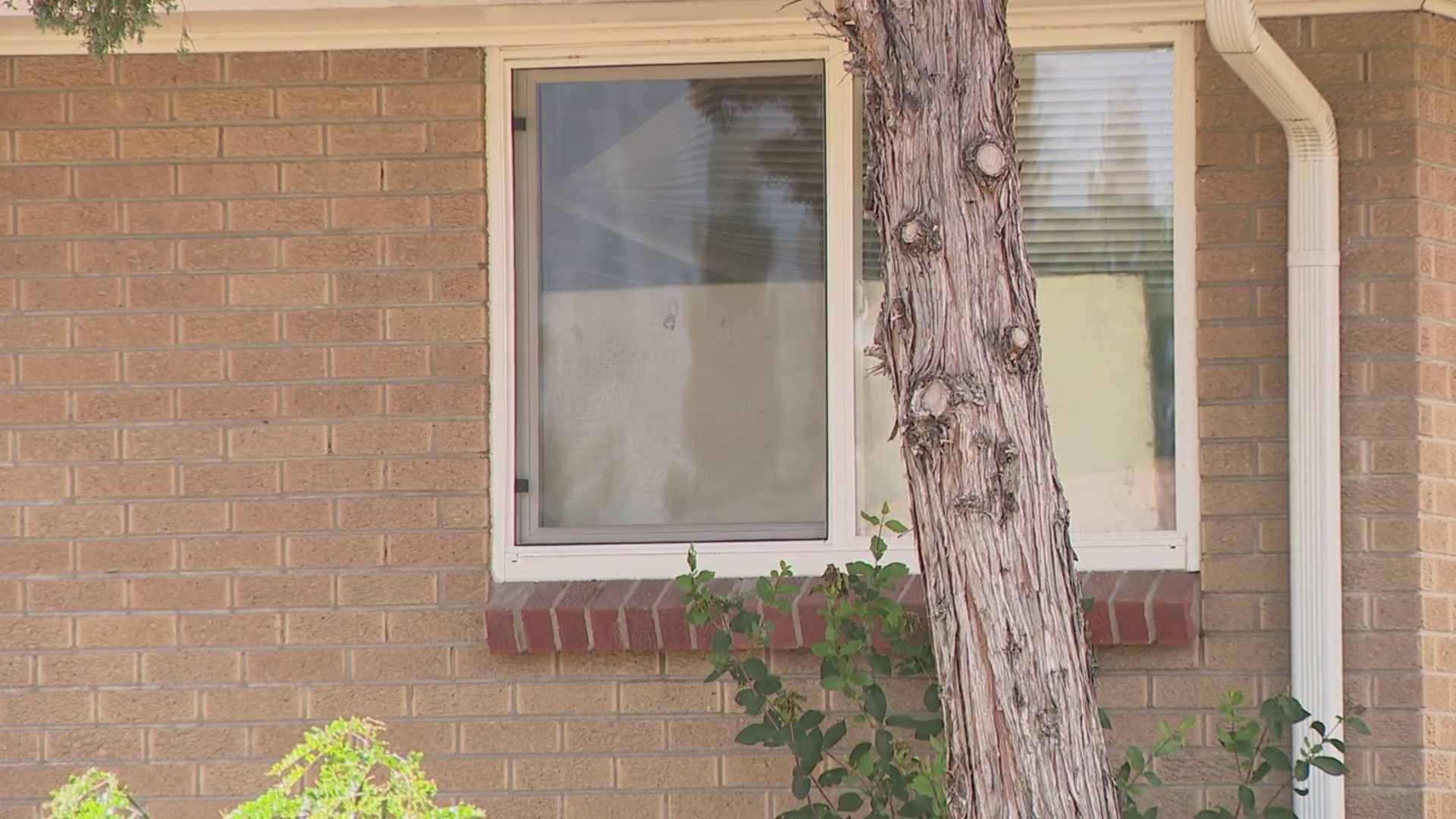‘Suspicious death’ investigation underway for woman found dead in ...