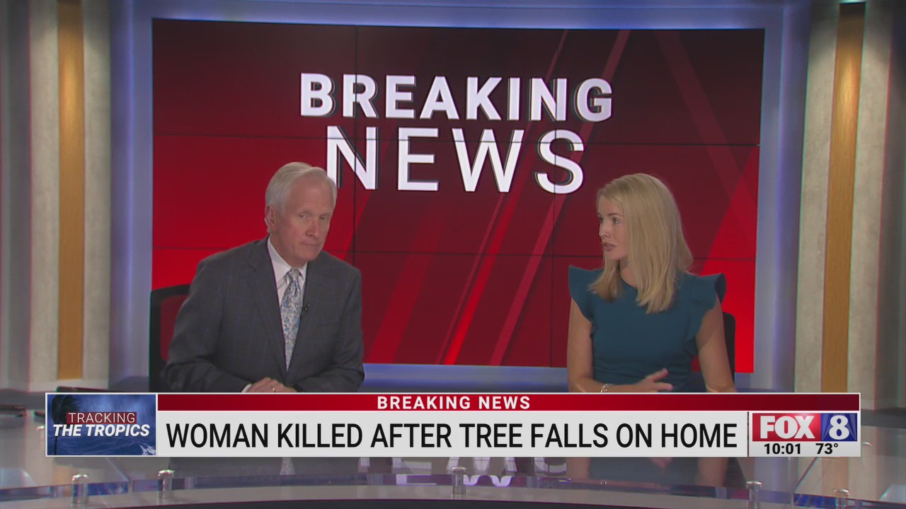 Woman dies after tree falls on home in Rockingham County – FOX8 WGHP