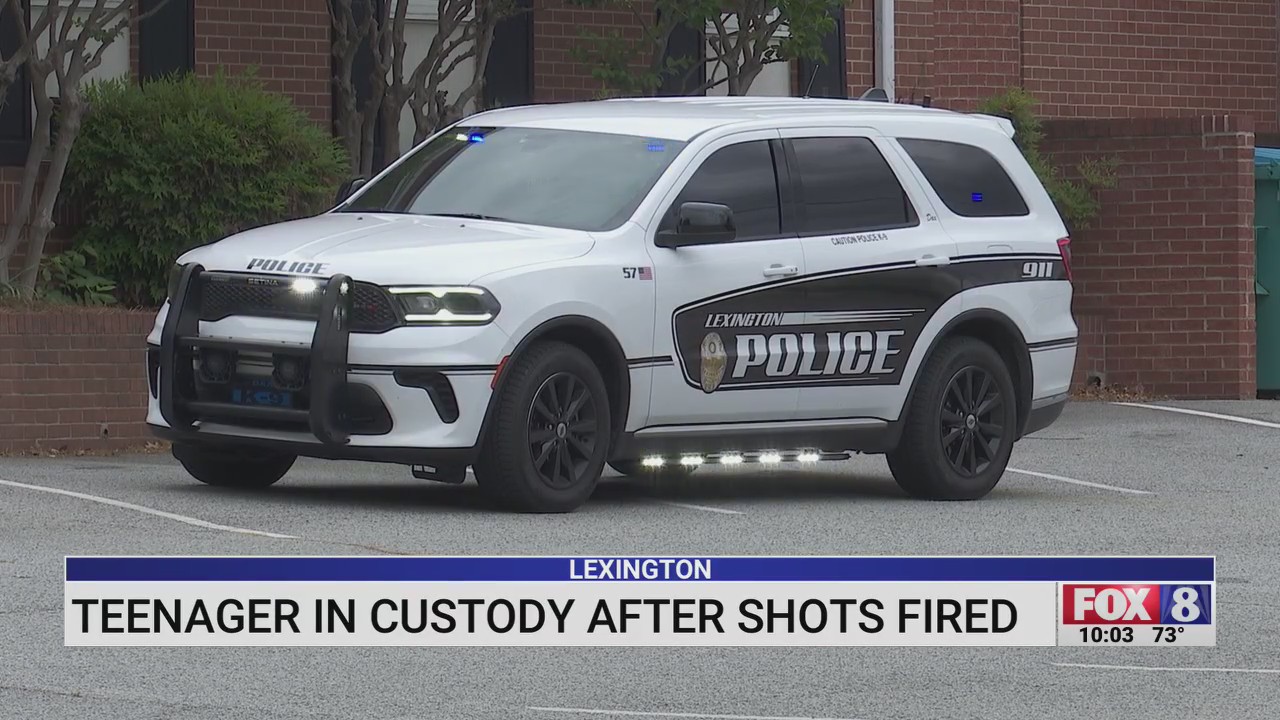 Teen in custody after multiple Lexington officers respond to Pine ...
