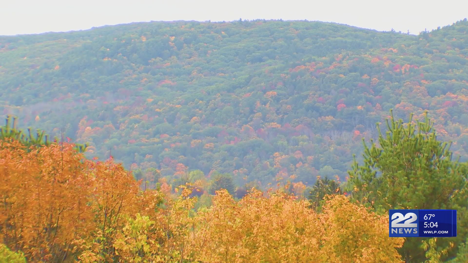 Where can you see peak fall foliage in western Massachusetts? – WWLP