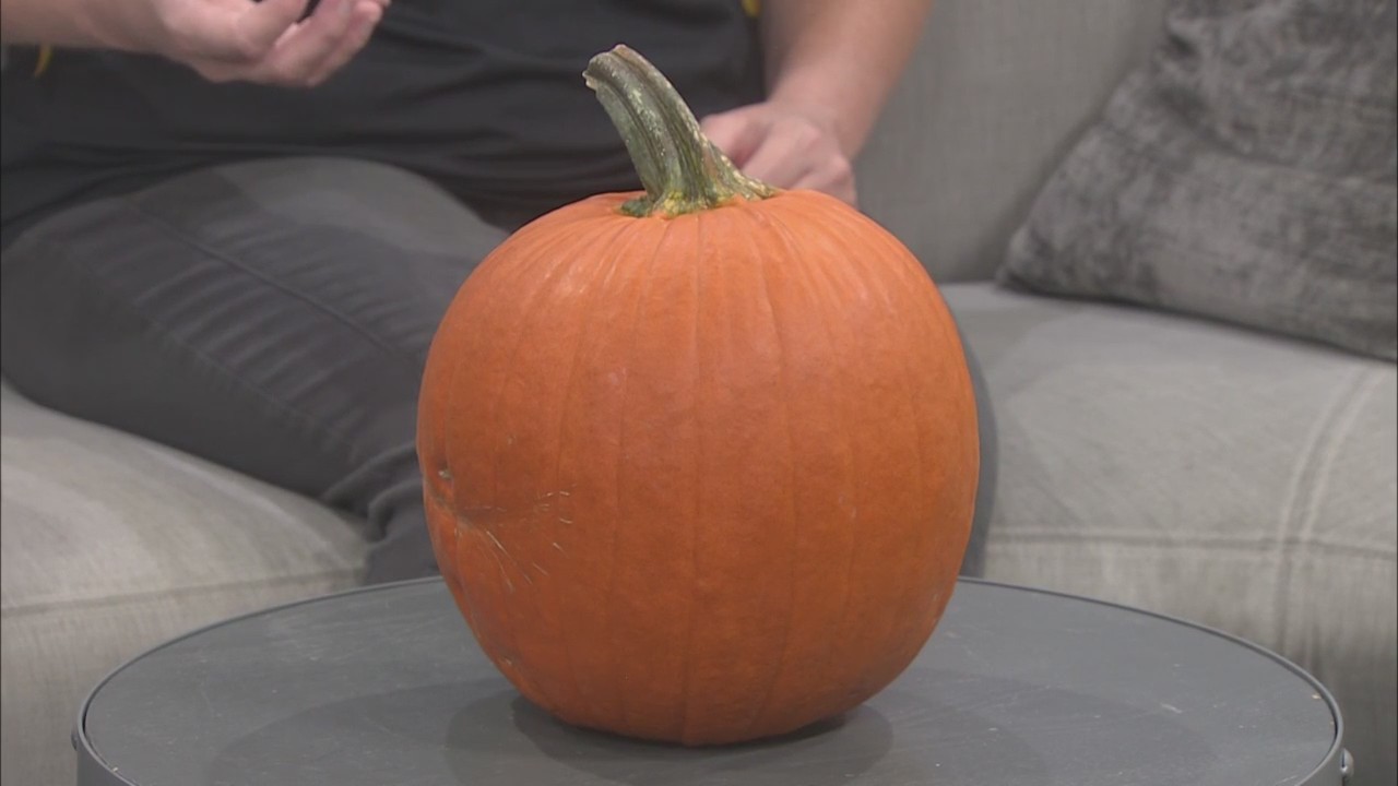 The Great Pumpkin KOLR