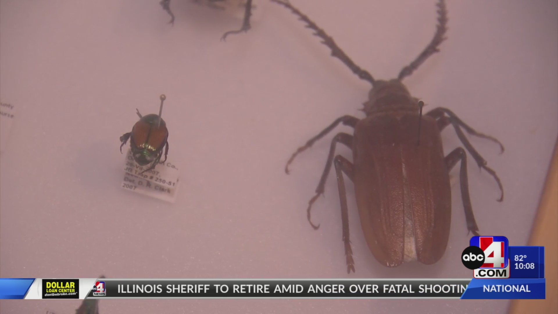 Natural History Museum of Utah hosts BUGfest – ABC4 Utah