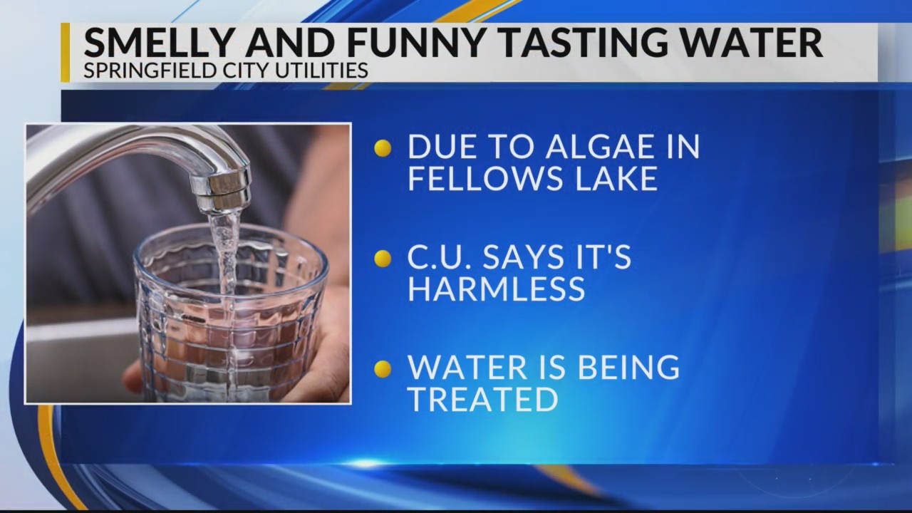 Springfield Spring Water Why does the Springfield city water smell and taste funny? – KOLR ...
