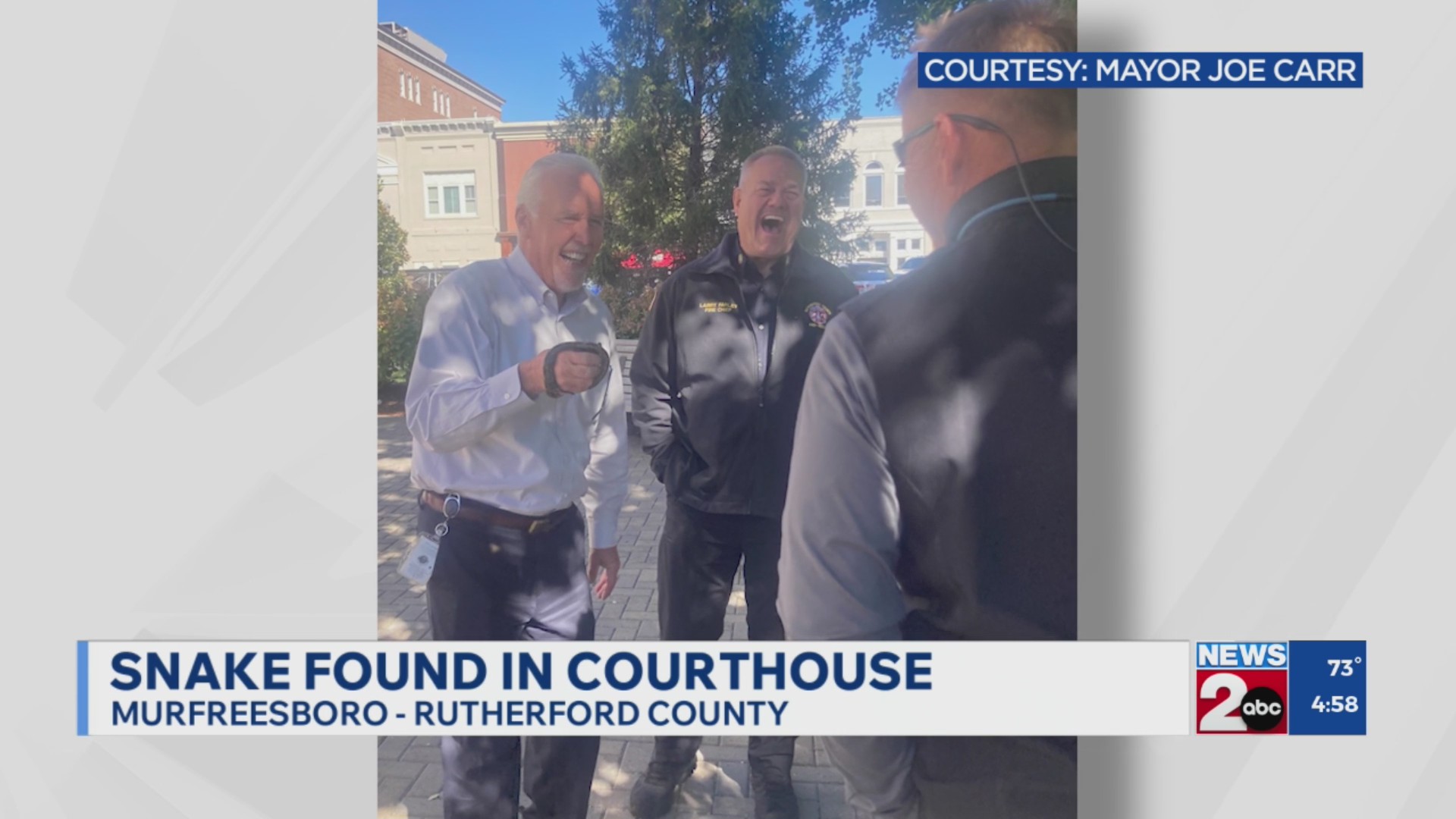 Snake found in Rutherford County Courthouse – WKRN News 2