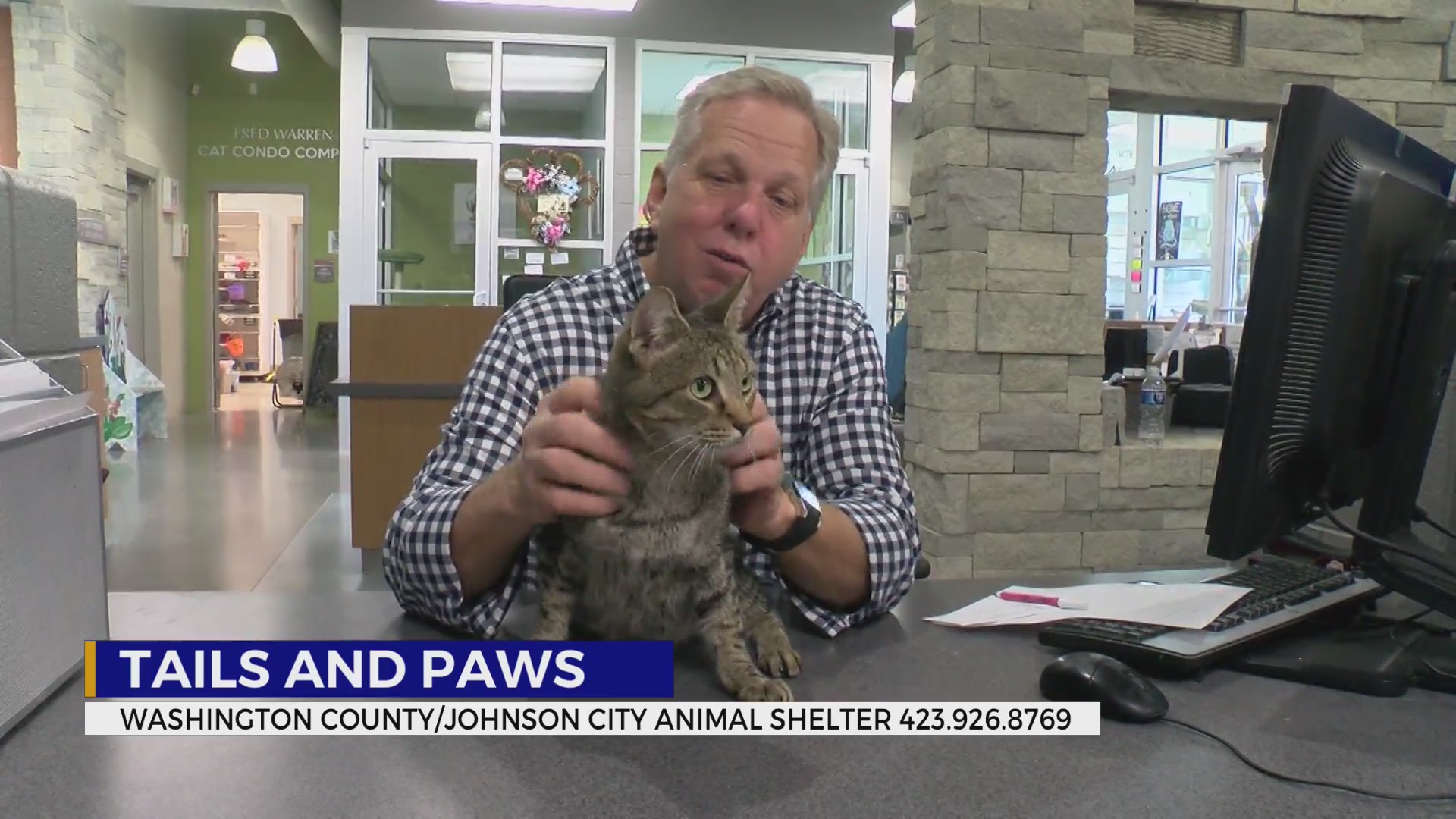 These pets need treats for Halloween – WJHL | Tri-Cities News & Weather