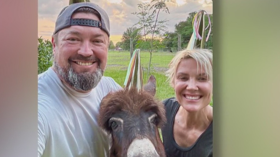 Rescued To Love Florida Couple Raises Donkey In Their Home Morning