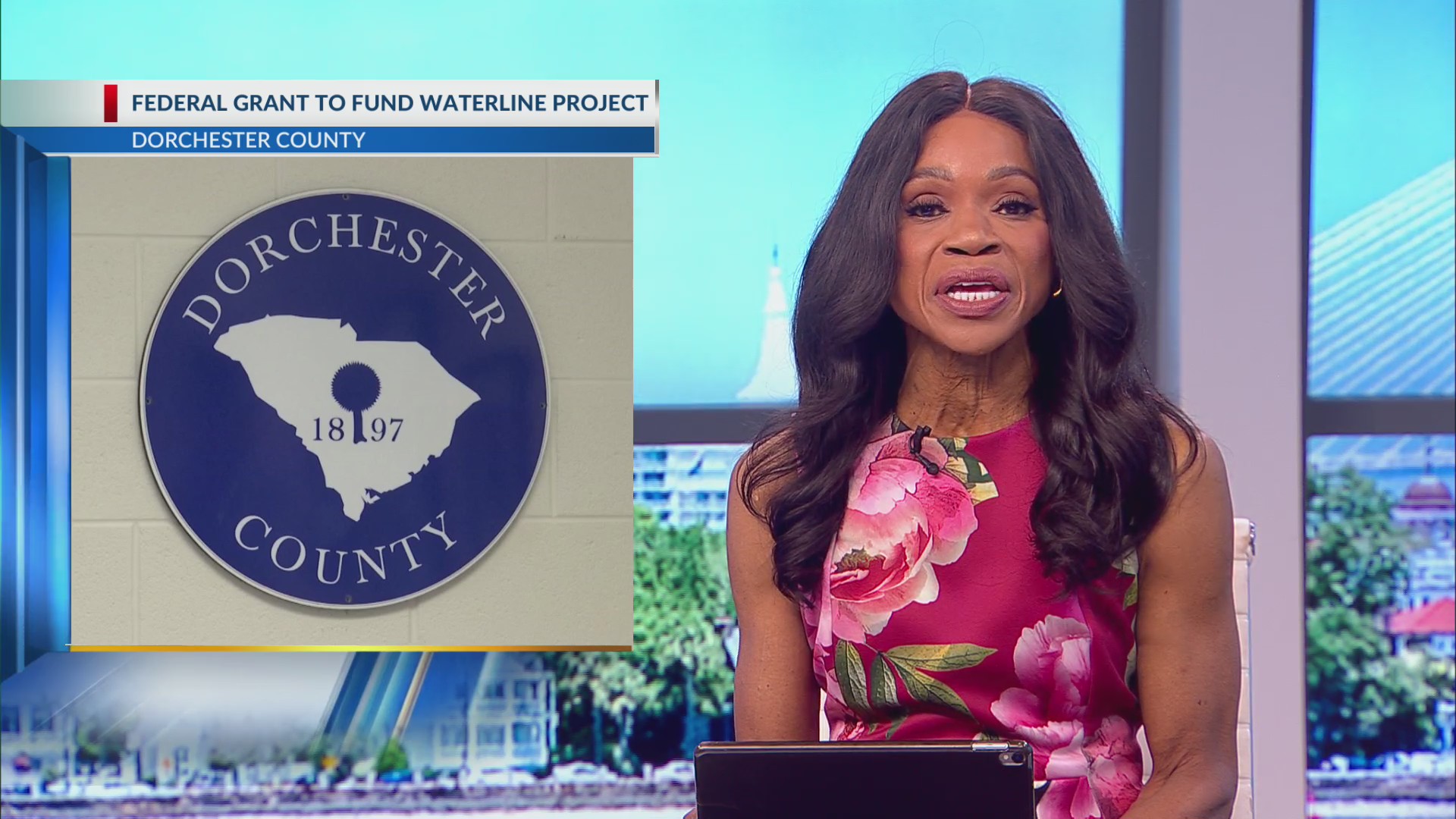 Dorchester County grant to fund waterline project – WCBD News 2