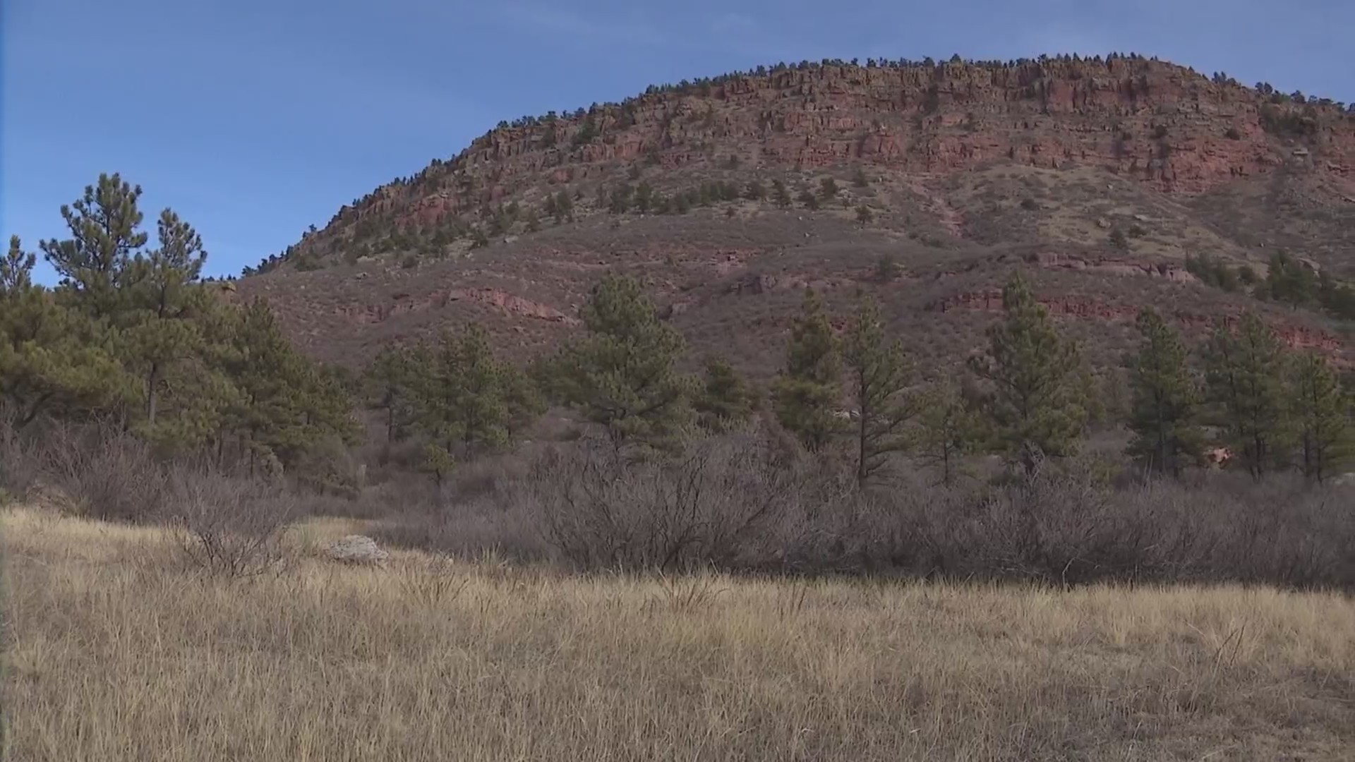 Body of mother who was missing for months identified – FOX31 Denver