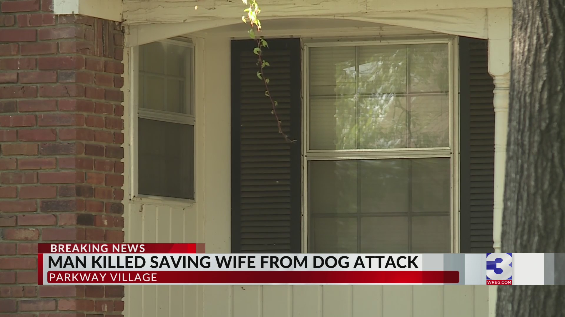 Man killed after saving wife from dog attack – WKRN News 2