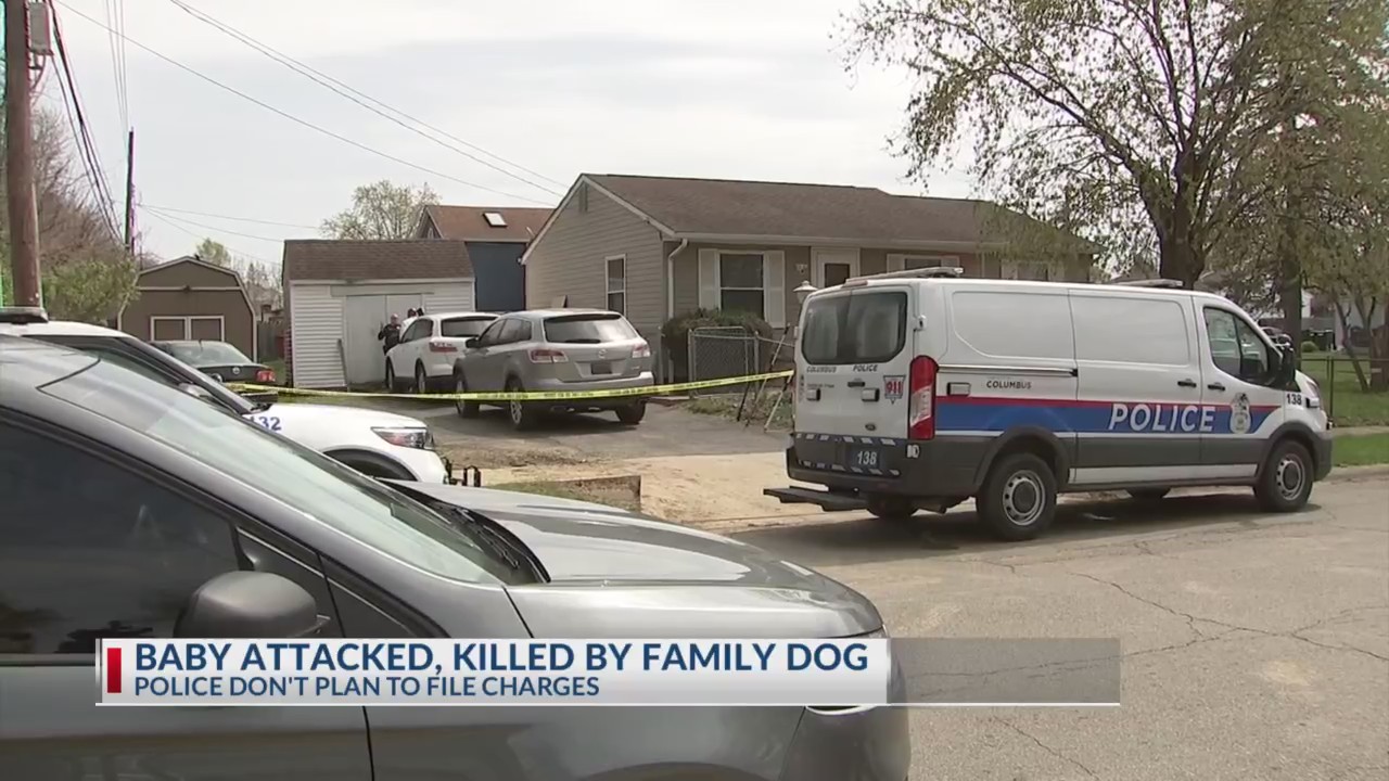 Baby attacked, killed by family dog in south Columbus – NBC4 WCMH-TV