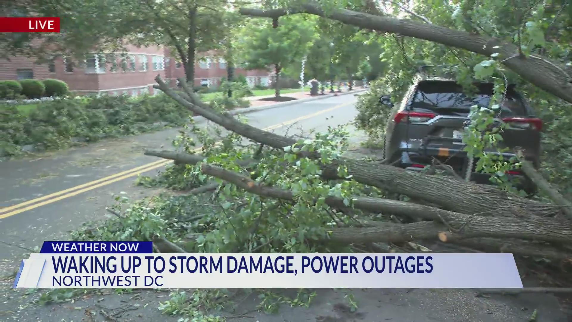 Families waking up to storm damage, power outages across DMV – DC News ...