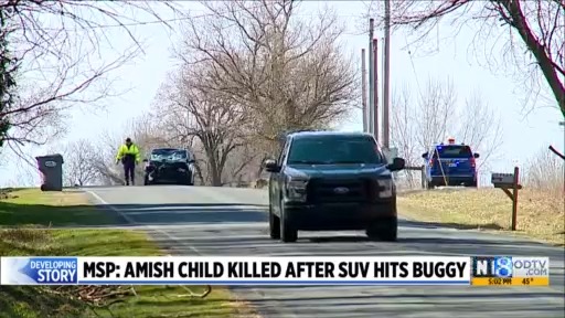 MSP: Amish child killed after SUV hits buggy – WOODTV.com