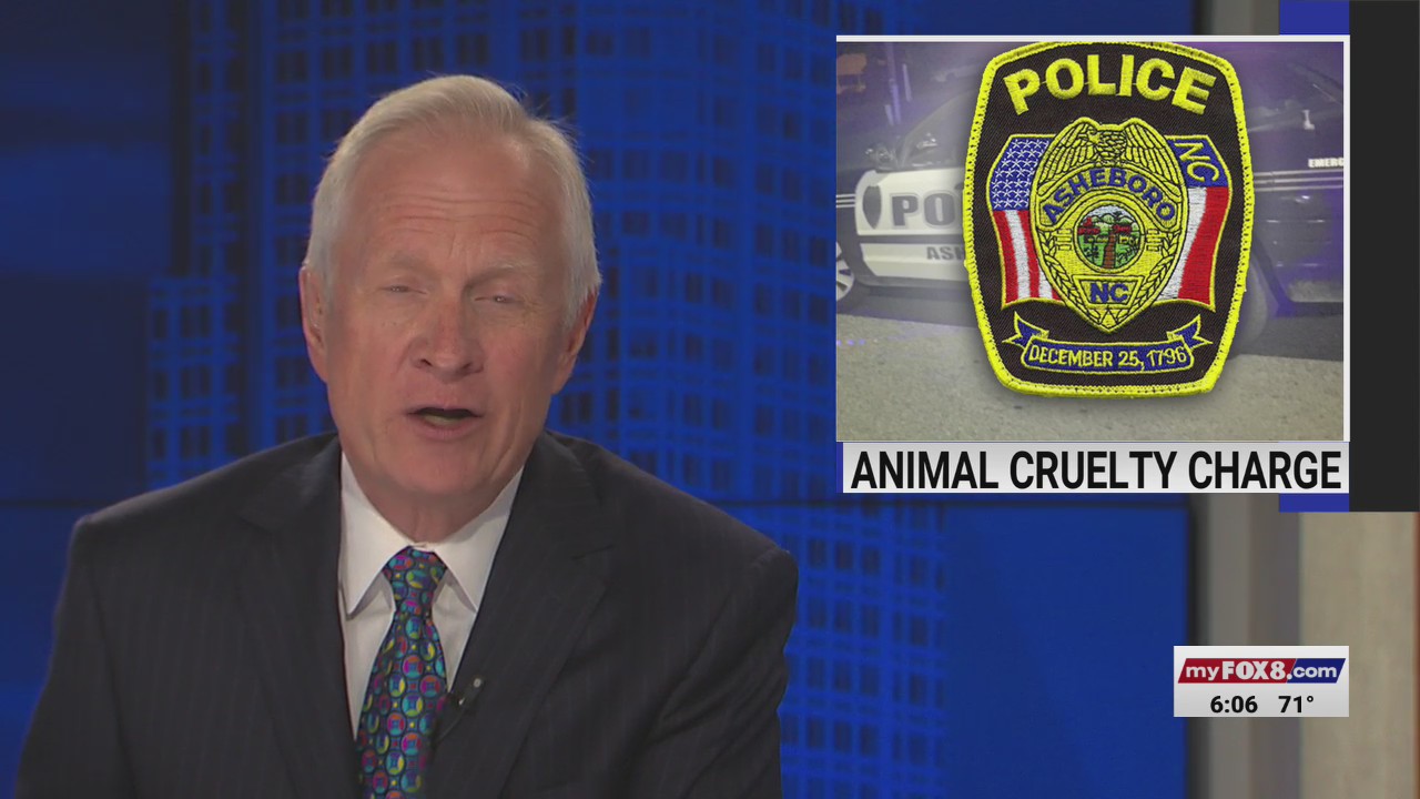 Person charged with animal cruelty after leaving dog in hot car at ...