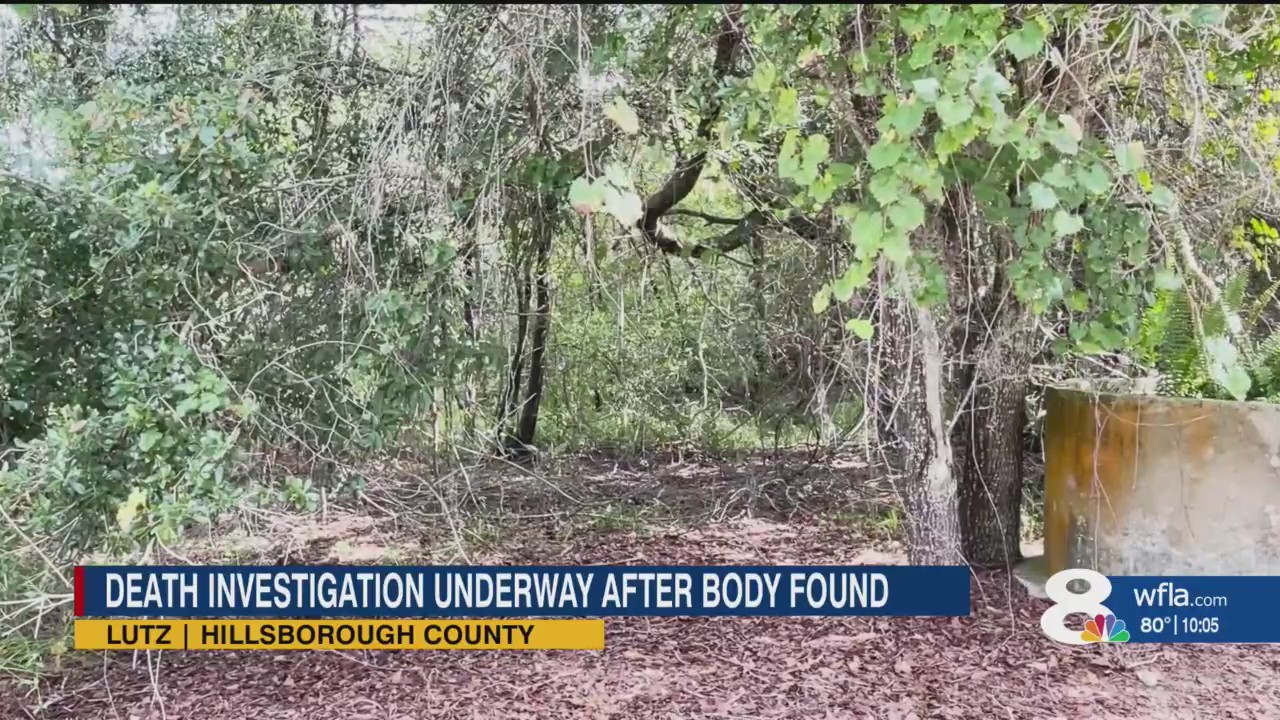 Investigation underway after body found in Hillsborough County – WFLA