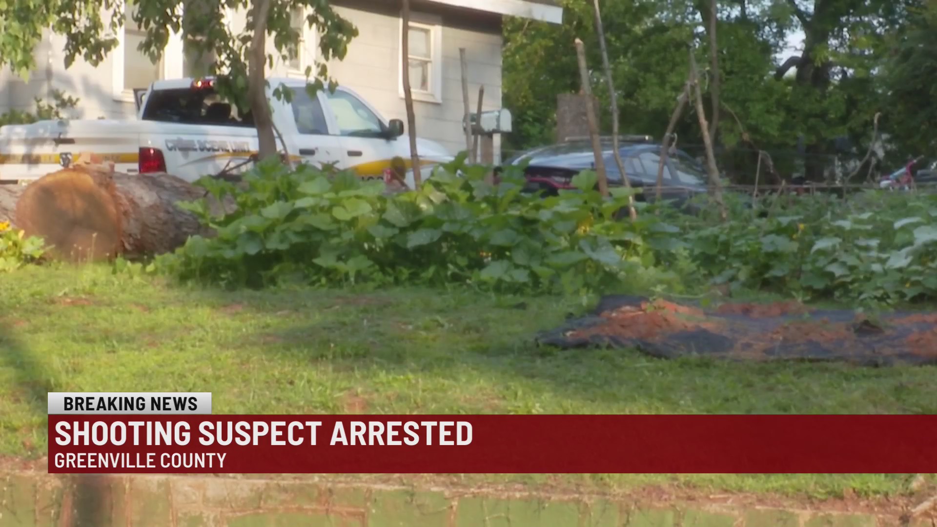 Man shot during armed robbery in Greenville Co., suspect arrested ...