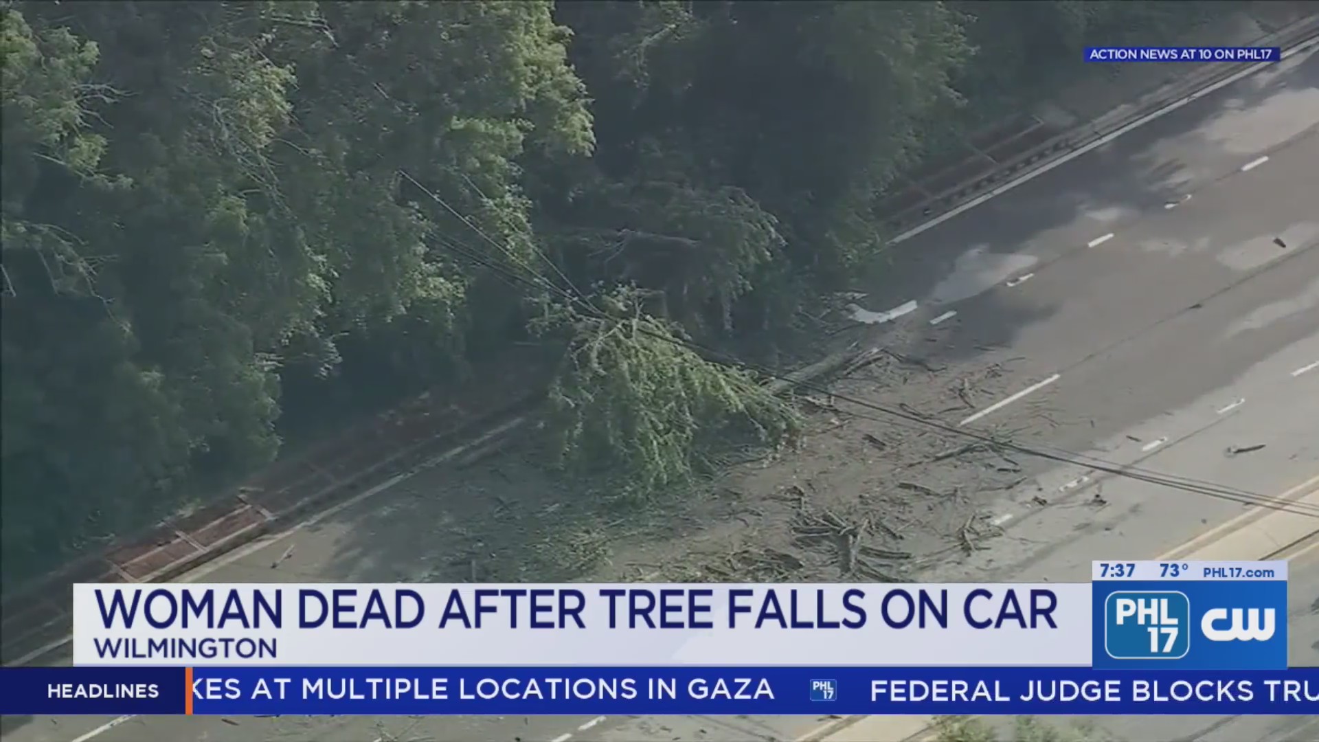 Woman dies after tree falls on her car during storm – PHL17.com