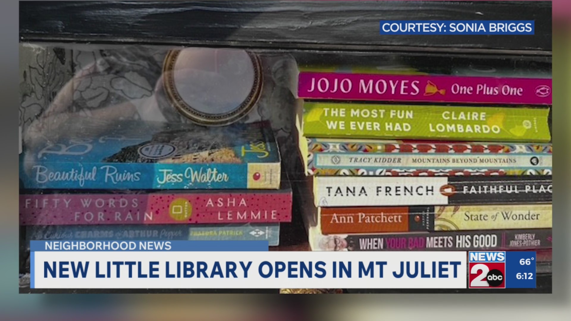 New Little Free Library Pops Up In Mt Juliet Wkrn News 2