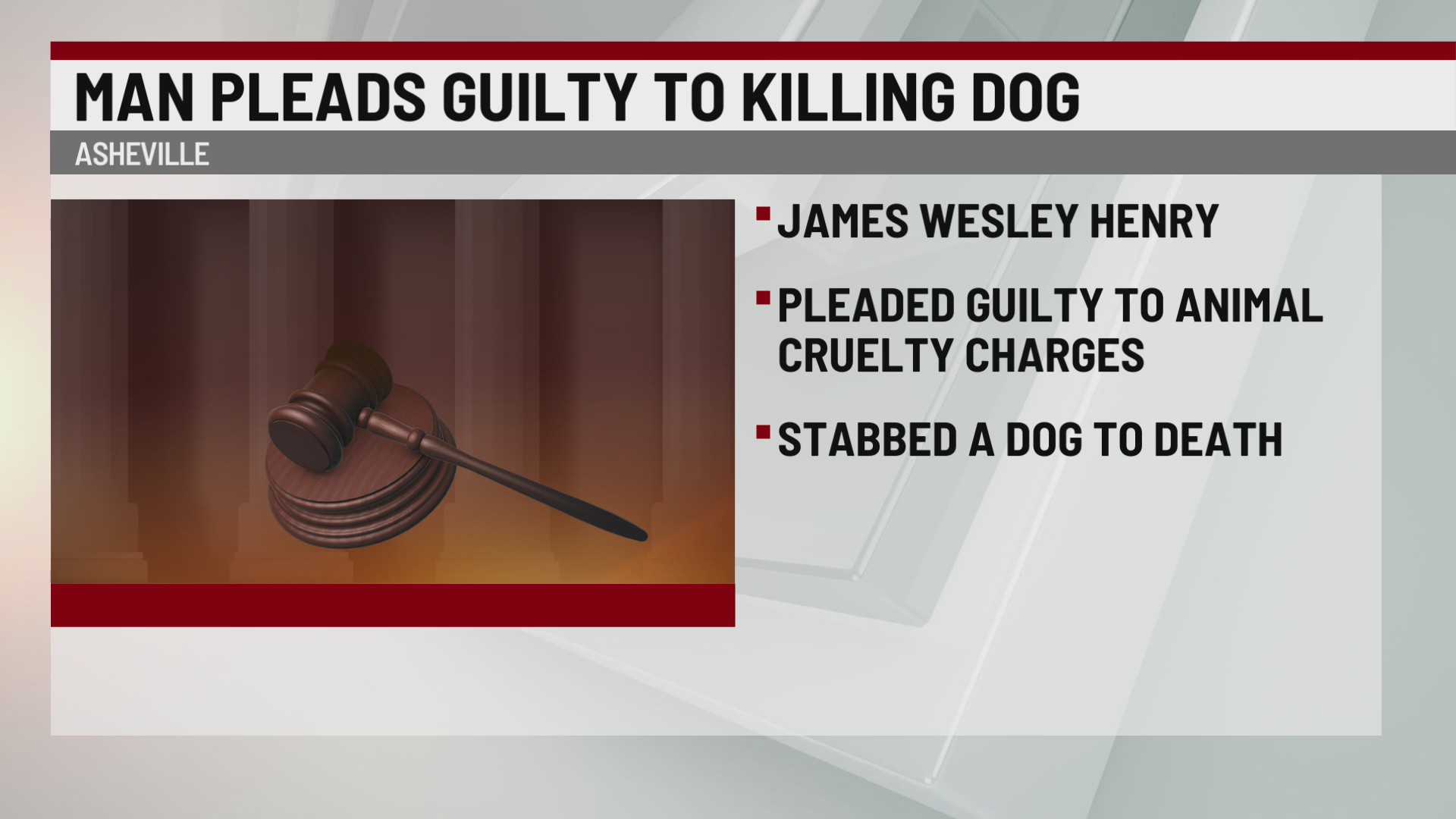 Asheville man pleads guilty to stabbing dog to death – WSPA 7NEWS