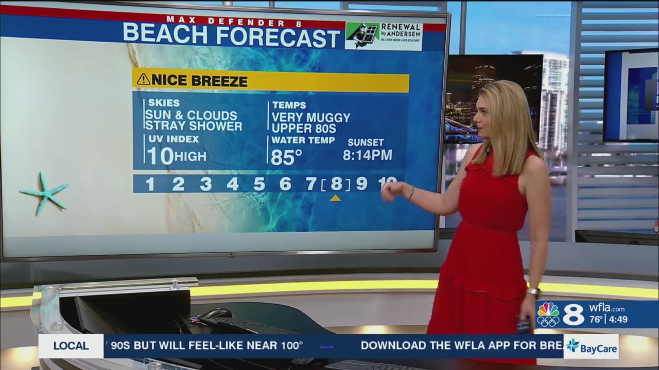 Increasing humidity and rain chances for the weekend – WFLA