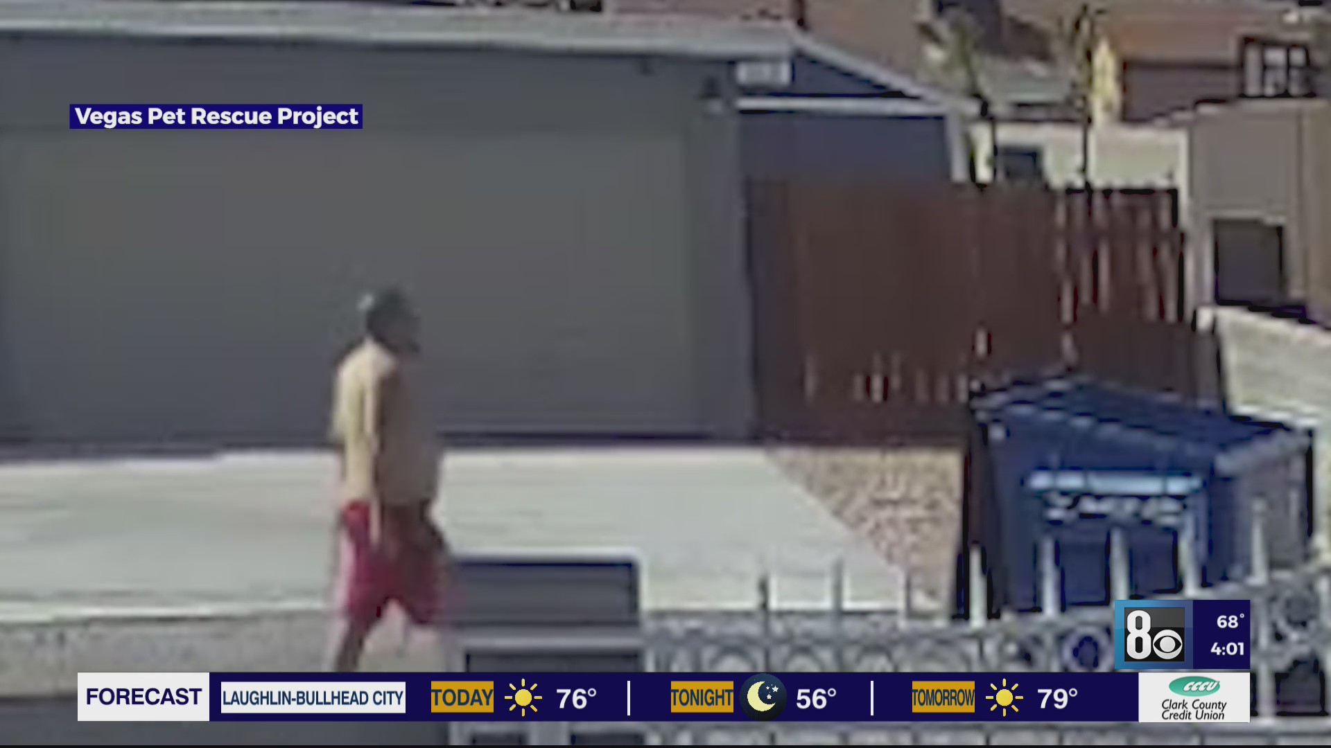 Las Vegas police arrest man for throwing dog into dumpster – KLAS