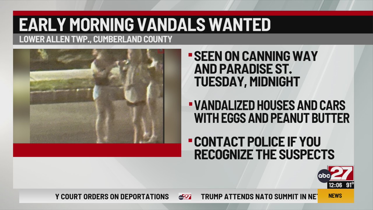 Police release photos of suspected female juvenile vandals in ...