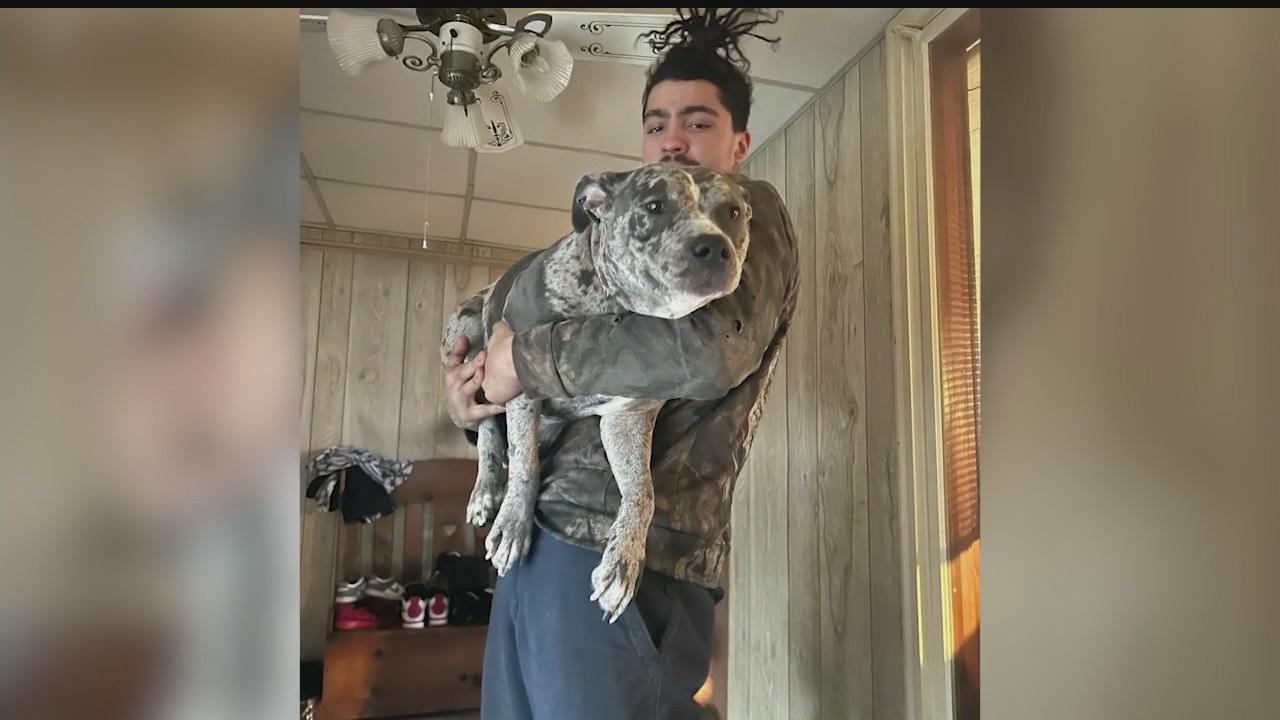 Dog shot by Farrell police, family looking for answers – WKBN.com