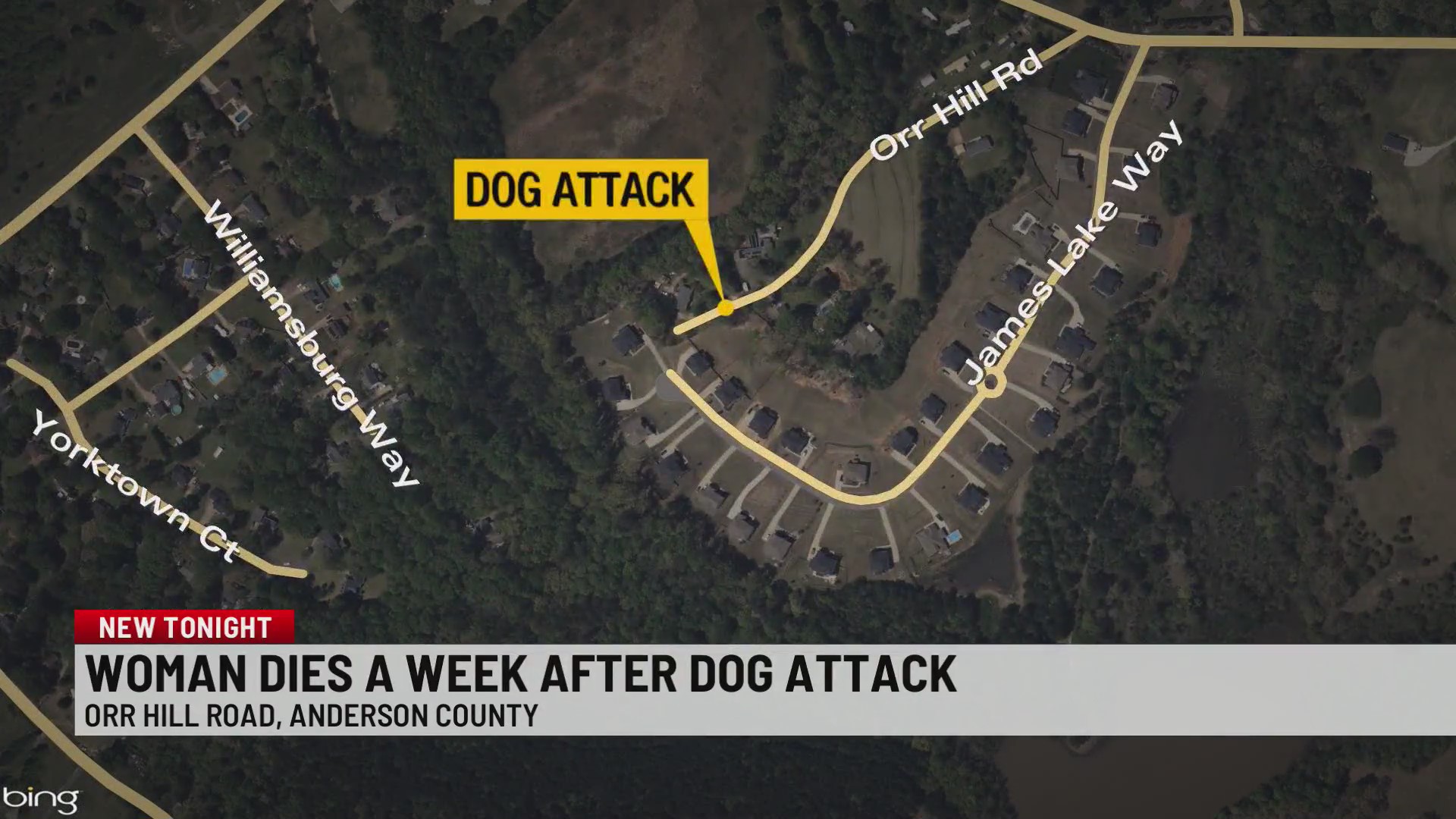 Woman dies a week after being attacked by her own dog in Anderson Co ...
