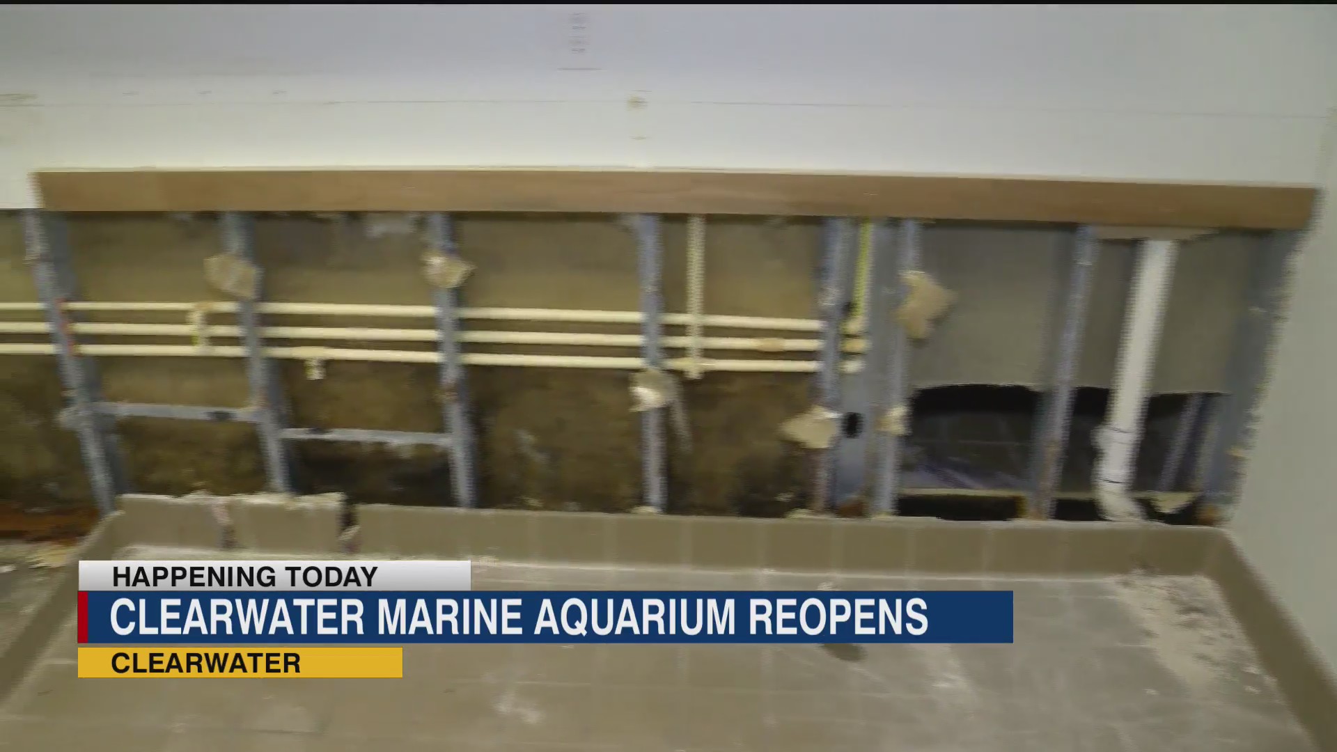 Clearwater Marine Aquarium reopens after extensive hurricane damage
