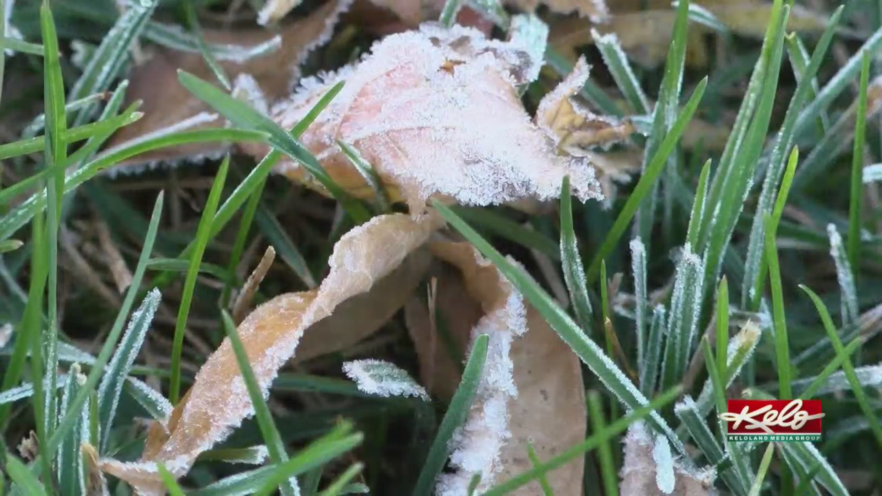 Do chilly nights correlate to frosty mornings? – KELOLAND.com