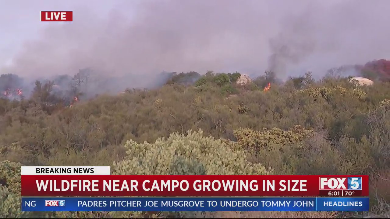 Wildfire near Campo growing in size – FOX 5 San Diego & KUSI News