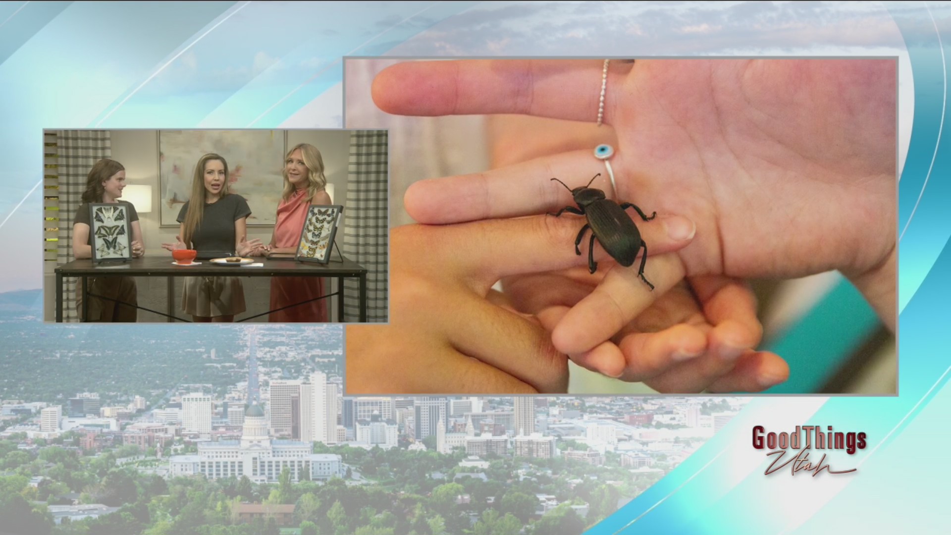 Natural History Museum of Utah: BugFest! – ABC4 Utah