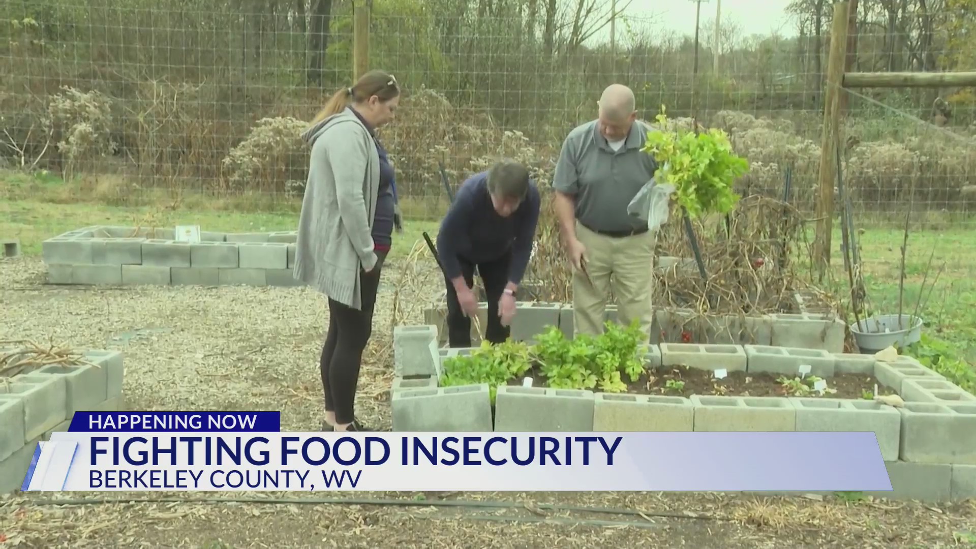 Fighting Insecurity Fighting food insecurity in Martinsburg – DC News Now | DC, Virginia ...