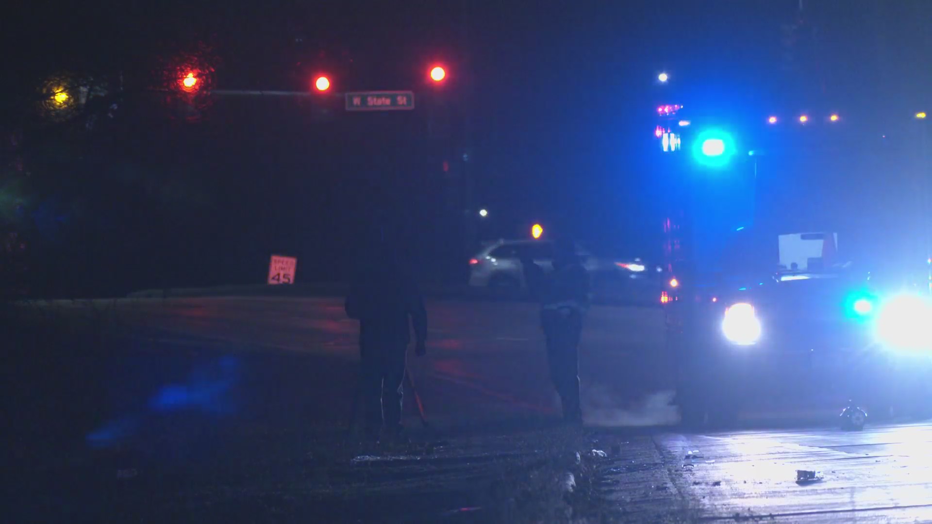 Rockford woman killed in hit-and-run crash Saturday has been identified ...