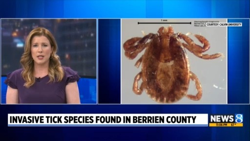 Invasive tick species found in Berrien County – WOODTV.com
