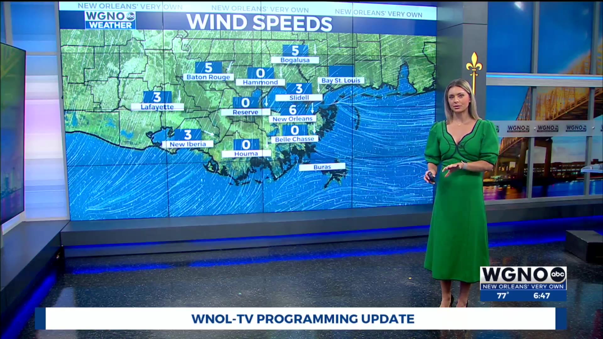 Sunshine for the weekend – WGNO