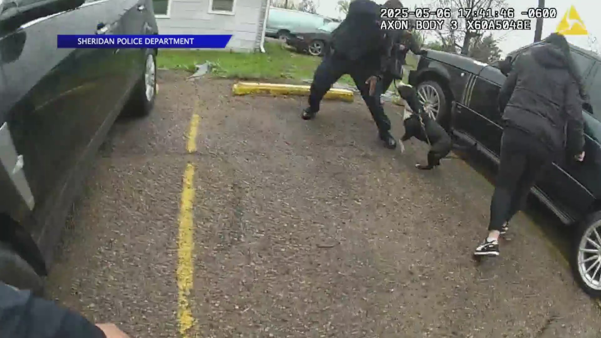 Dog dies after burglary in progress call leads to officer-involved ...