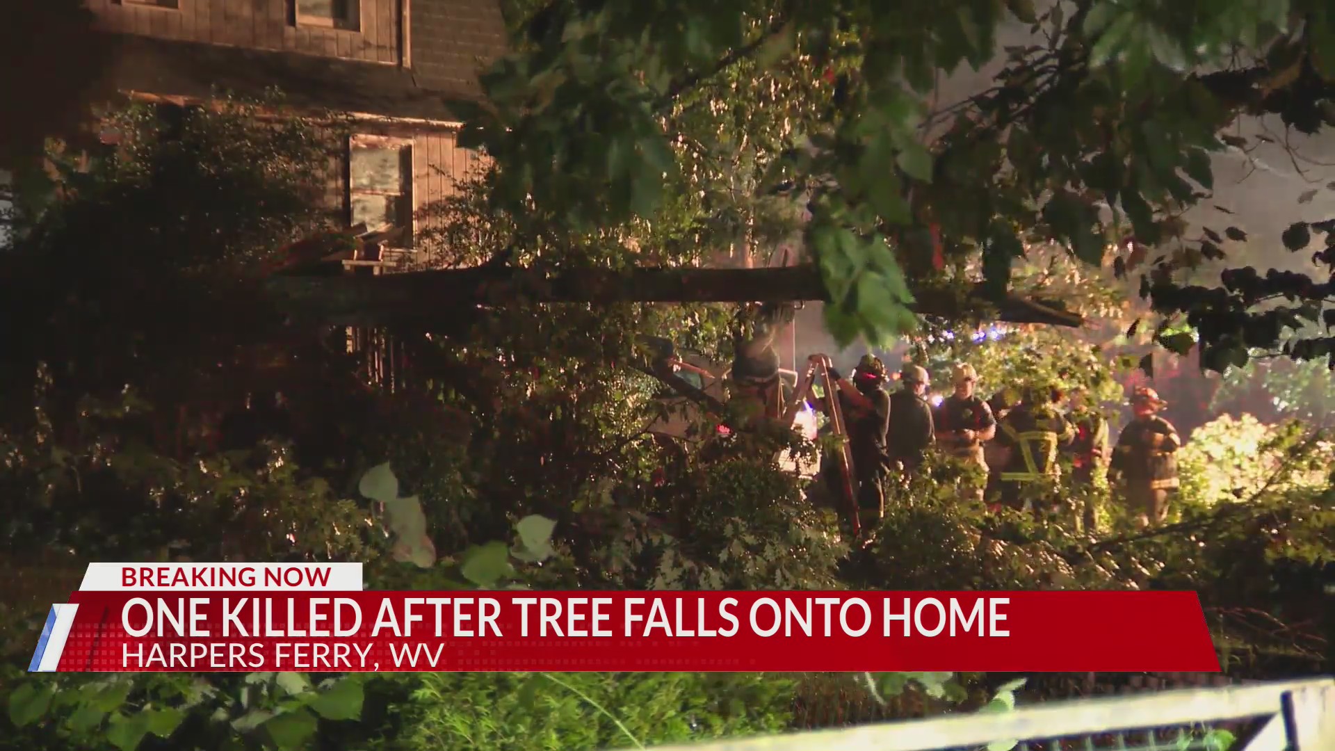 One killed after tree falls into home during storm in West Virginia ...