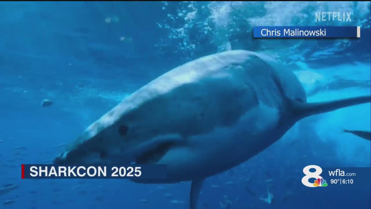 SharkCon invades Tampa Bay with weekend event – WFLA