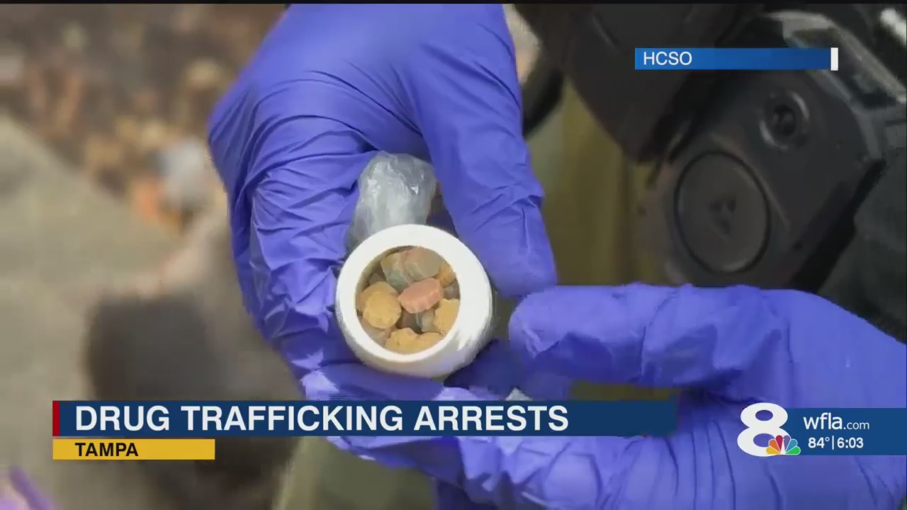 2 Tampa men charged with trafficking meth, fentanyl: HCSO – WFLA