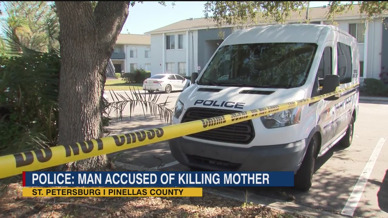‘It is very heavy’: Son accused of stabbing mother to death inside St ...
