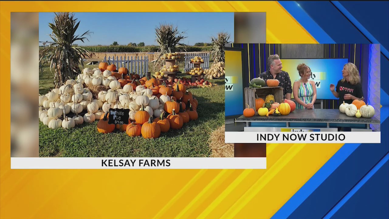 Fall Fun with Kelsay Farms! — 9/25/24 Fox 59