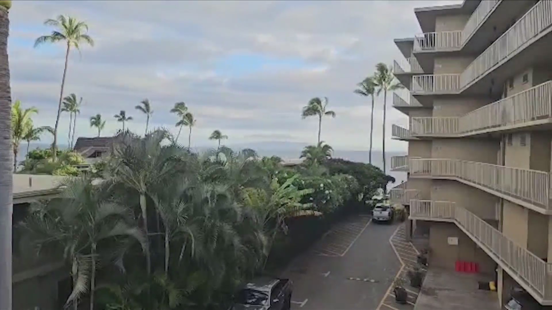 Hawaii tsunami radar live