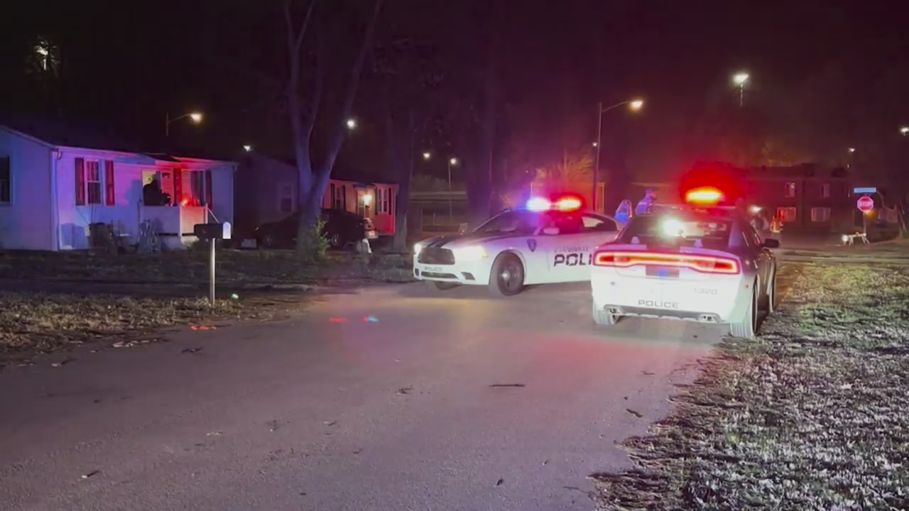 Two juveniles arrested after overnight shooting in Evansville ...